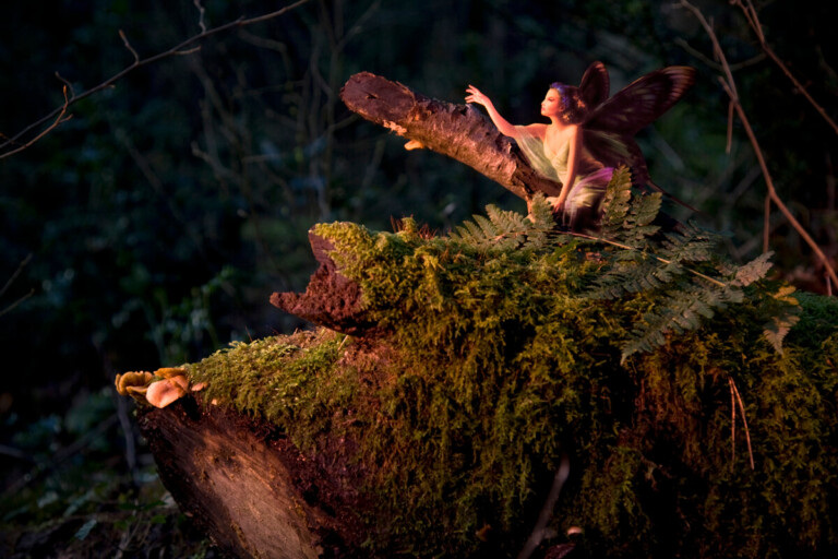 Fairies Fairies