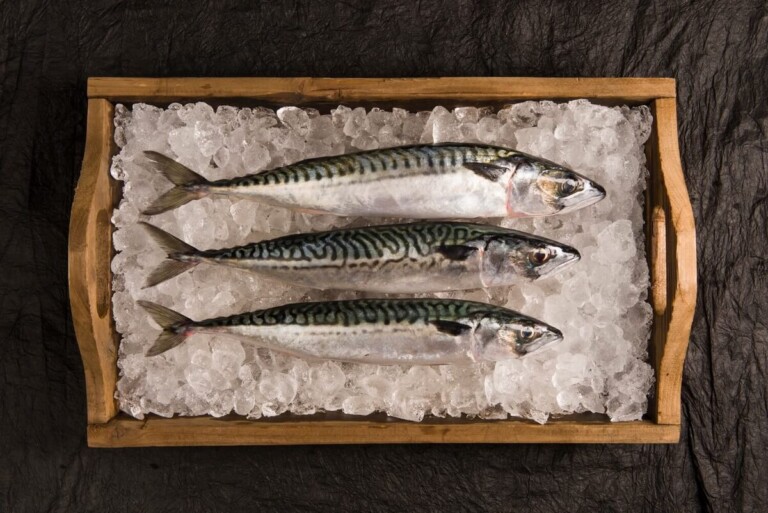 Food photography of fish Food photography of fish