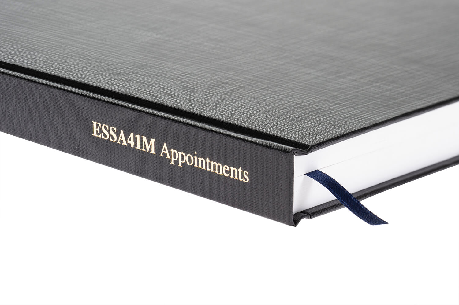 Detail of appointments diary