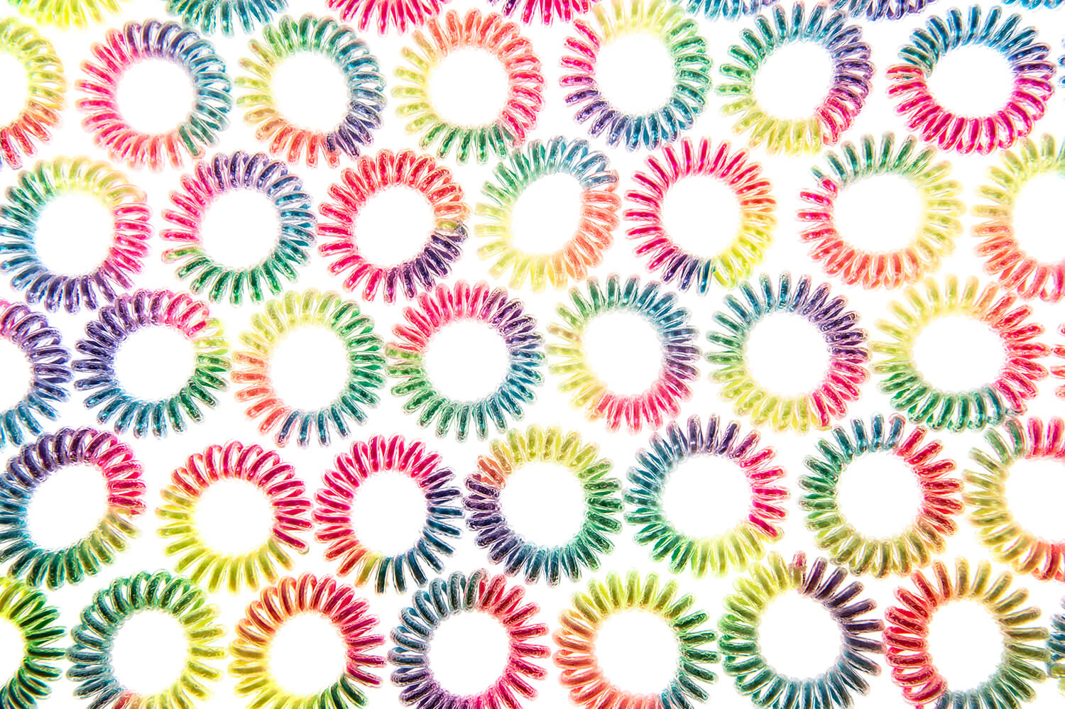 Advertising photograph of hair bobbles